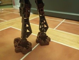 LEGO BIONICLE: Rahkshi Panrahk (8587) with Kraata