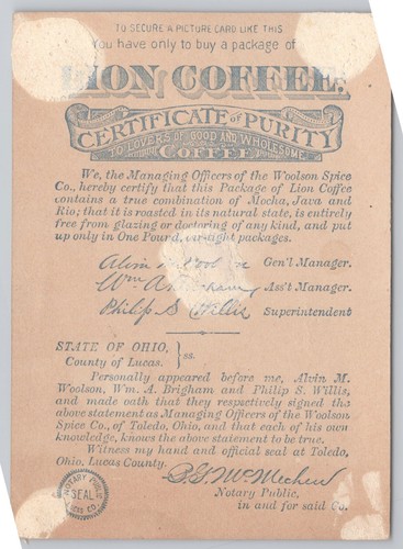 1880er Löwe Kaffee Woolson Spice Co Mokka Java Rio Neufundland Welpen - Bild 3 von 4