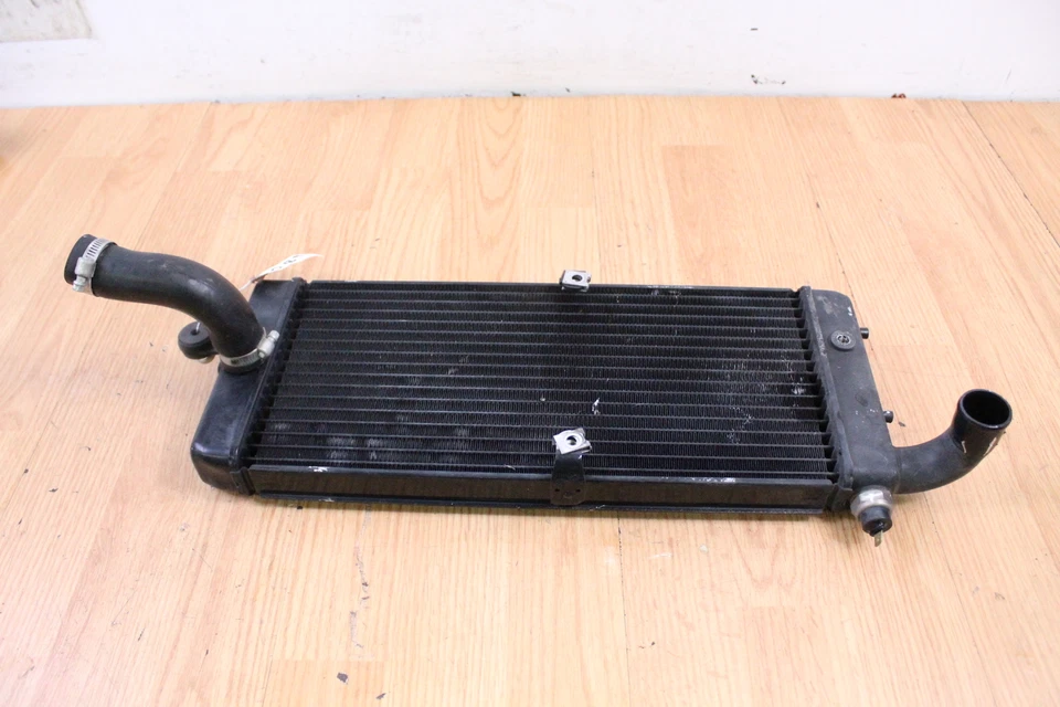 Honda VT750 2003 Shadow radiador enfriador Foto 2 de 4