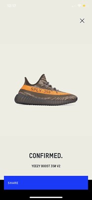 Size 9 M Adidas Yeezy Boost 350 V2 Carbon Beluga/Steeple Grey 