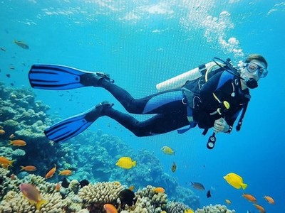 ScubaPro Seawing  Size 8 - 9  Dive Fins 25-440-700 Scuba Pro Sea Wing