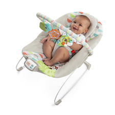 Baby Bouncer Soothing Vibrations Infant Seat - Taggies, Music, Removable -Toy Ba