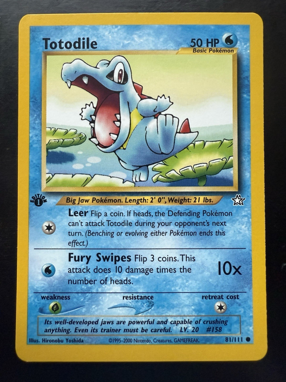 Pokemon Totodile Neo Genesis 81/111 Common 1st Edition (NM)