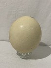 Foto 5 di 9