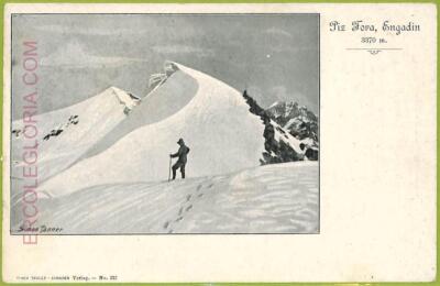 ad4898 - SWITZERLAND Schweitz - Ansichtskarten VINTAGE POSTCARD - Piz Fora