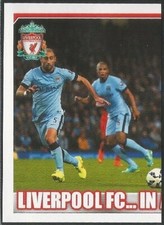 Merlin's 2015 Premier League Stickers  #171 to #374