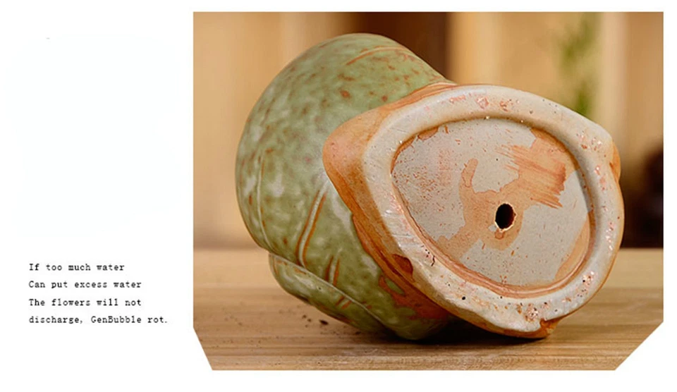 Colgante de cerámica con forma de caracol cactus planta suculenta maceta flor mini diseño Foto 4 de 4