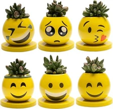 Emoji Mini Planters, Small Clay Pots, 6 Count