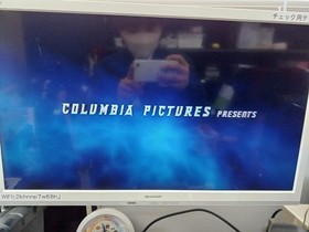 Panasonic Q SL-GC10 Nintendo GameCube DVD Console Silver Used from Japan