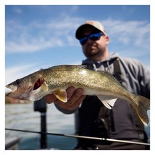 St. Croix Avid Series Walleye Spinning - Choose Model