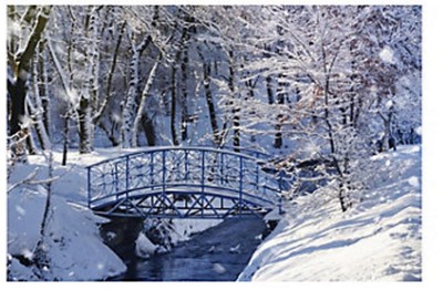 Winter Wonderland Wall Murals Winter Wonderland Backdrop FROZEN WINTERLAND Wall Mural Winter Wonderland Wall Murals Winter Wonderland Backdrop FROZEN WINTERLAND Wall Mural