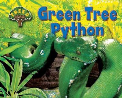 Green Tree Python by Phillips, Dee