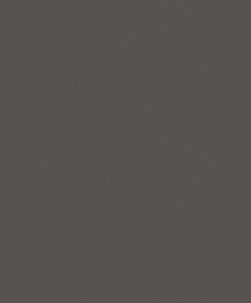 Rasch Tapete Vlies Selection 610178 Braun Uni Stylische Strukturierung-image