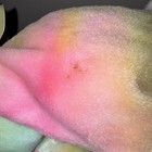 Bild 9 von 24