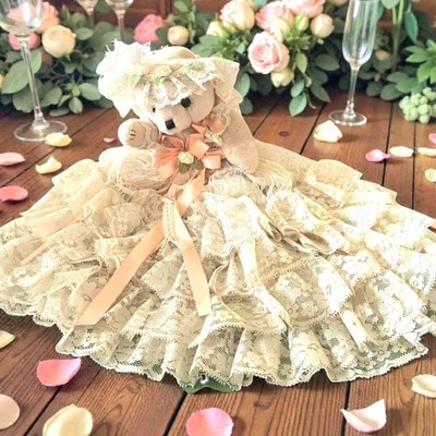 Rare 1980 Vintage Lace Teddy Bear with Cream Wedding Dress Hat Pearl Accents