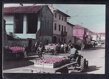 Cartolina Borgo D'Ale Mercato delle Pesche ANIMATA TRATTORE AB2131