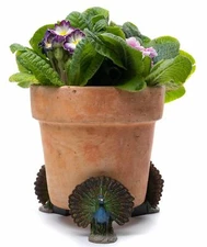Potty Feet Peacock Figures Planter Riser - Handmade Yard Art Ornaments - 3pcs