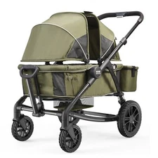 All-Terrain Stroller Wagon 2 Seats Expedition 2-in-1 Collapsible Wagon Stroller