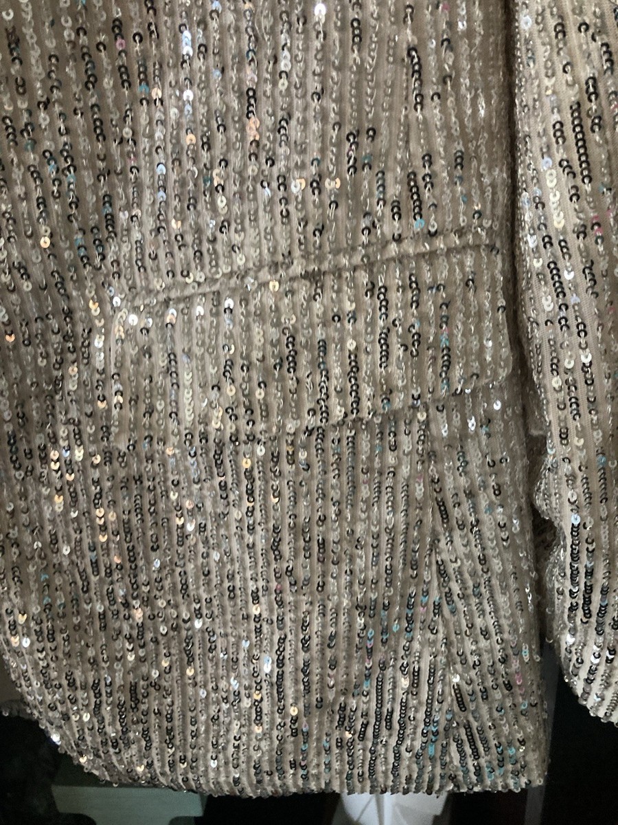 LOFT Sequin Blazer Size 4 Champagne Color Bling Jacket glitzy stunning   View 3