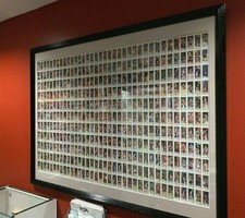 1980 Topps Basketball Cards 2 Bird Magic Rookies! UNCUT SHEET ~ Framed Beauty