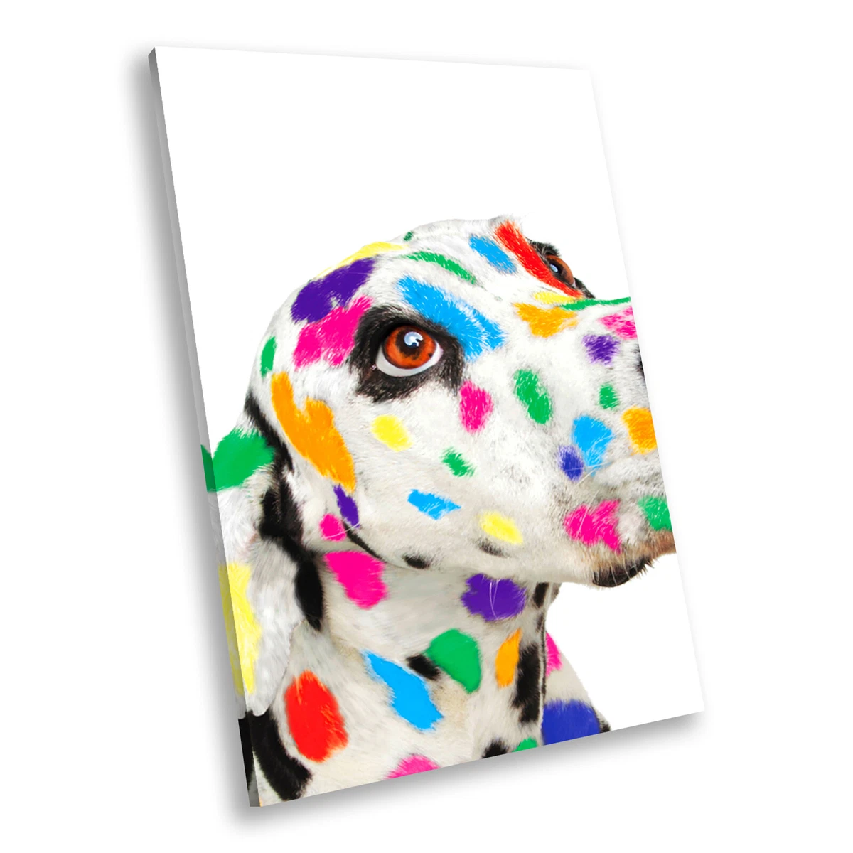 Dalmatian artwork hotsell