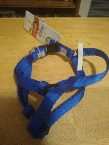 petco harnesses