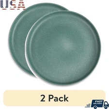 2 Pack Stoneware Plates Dishwasher Microwave Safe Casual Dining Tableware New