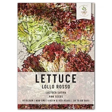 Lollo Rosso Lettuce Seeds For Planting (Lactuca sativa)