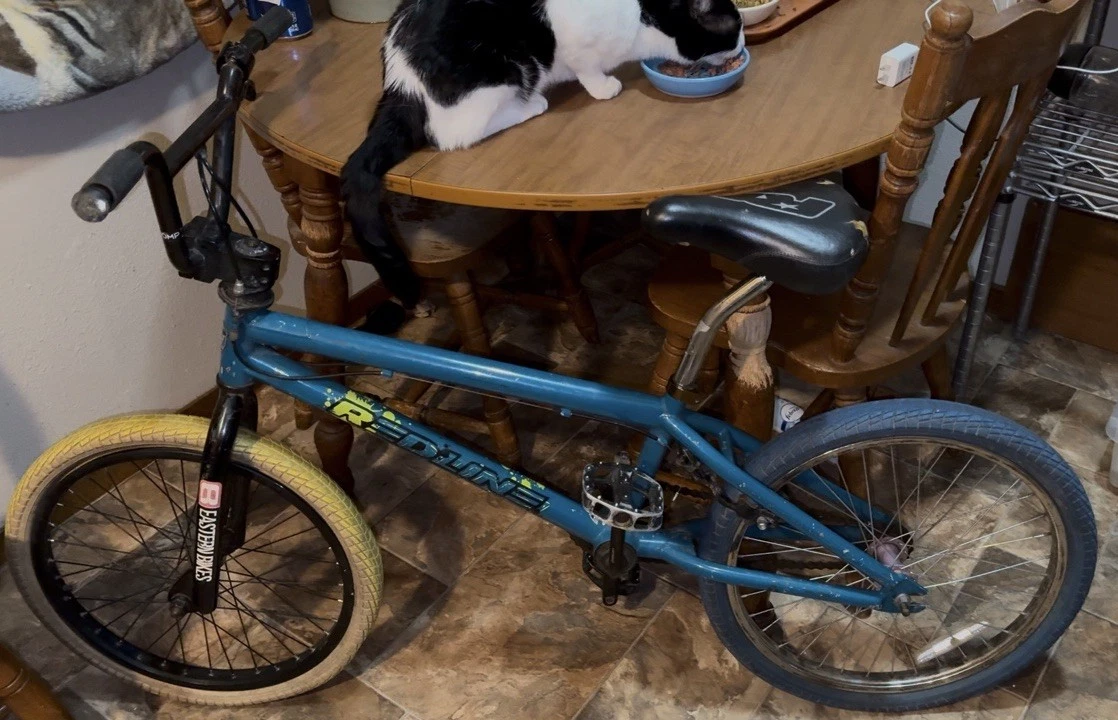 Red Line Steel 20 In Bikes for sale | eBay