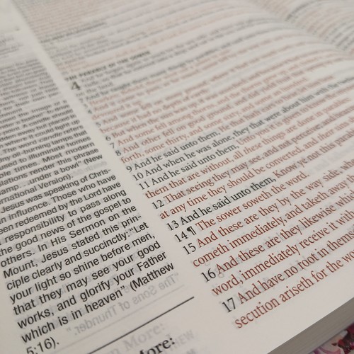 KJV Studienbibel Die 1-minütigen Lavendelblütenblätter King James Version Geschenk - Bild 22 von 24