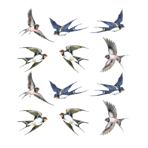  12 Pcs Back Pet Release Film Bird Collision Warning Stickers Hummingbird Window - Picture 1 of 12