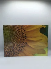 PINK SKY Vibrant Sunflower 1000 Pieces 19” H X 26” W Ages 14+ NEW SEALED