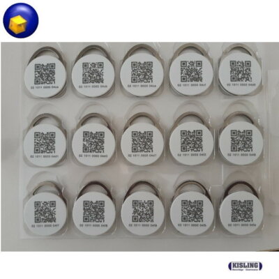 DormaKABA RFID Schlüsselanhänger LEGIC advant/4K/QRC/cv für evolo smart QR KABA
