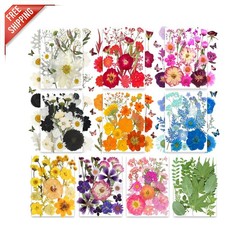 Colorful 301Pcs Pressed Flowers Butterfly Stickers for Personalized Crafts