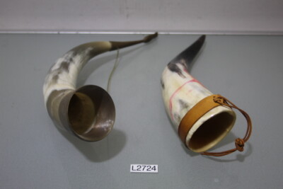 Wikinger Kuh Horn Trinkhorn 2 Stück konvolut (FL1219-R9)