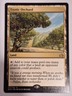 Exotic Orchard - Commander: Murders at Karlov Manor - Magic the Gathering MTG