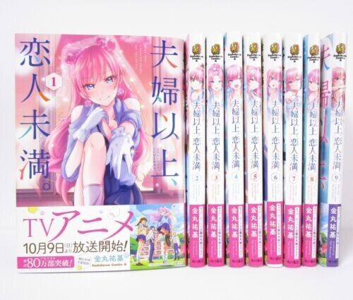 Fuufu Ijou, Koibito Miman Vol. 1-9 Comics Set Japanese Ver. Manga Used  Books JPN