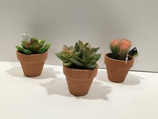 NEW 3 INCH POTTED MINI ARTIFICIAL SUCCULENT POTTED PLANTS CACTUS X 3 FREE SHIP