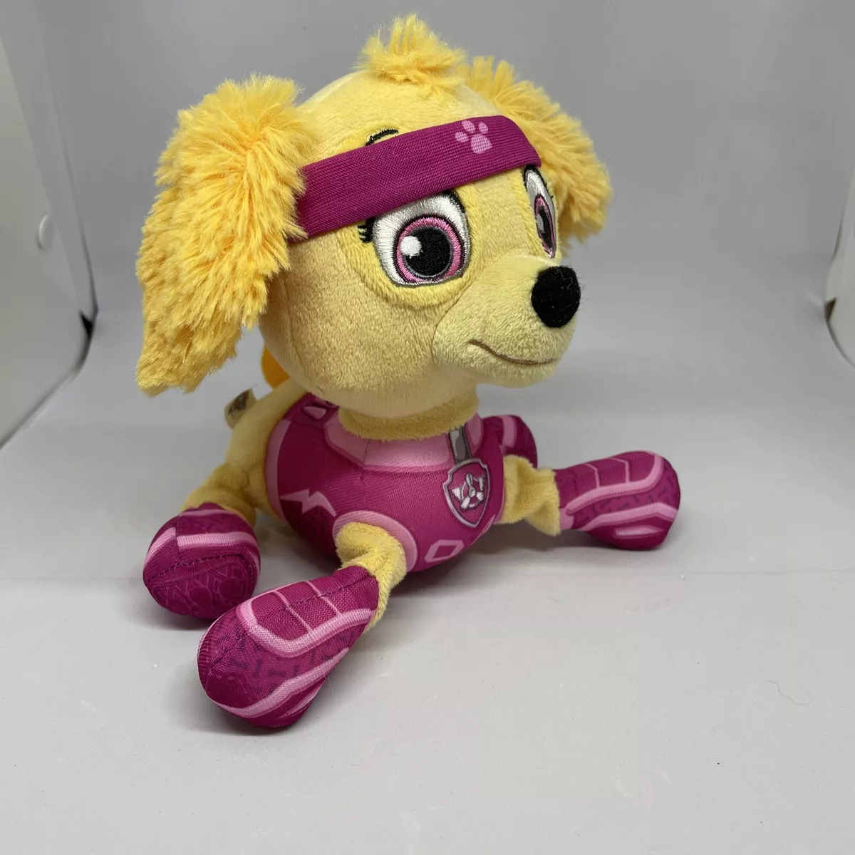 Sky pup paw patrol 2025