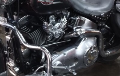 05 Harley Heritage Softail Classic FLSTCI Left Chrome Horn Skull