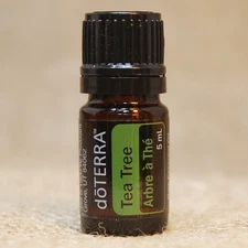 doTERRA  TEA TREE 5mL Essential Oil NEW unopened FREE SHIP in 24 hrs