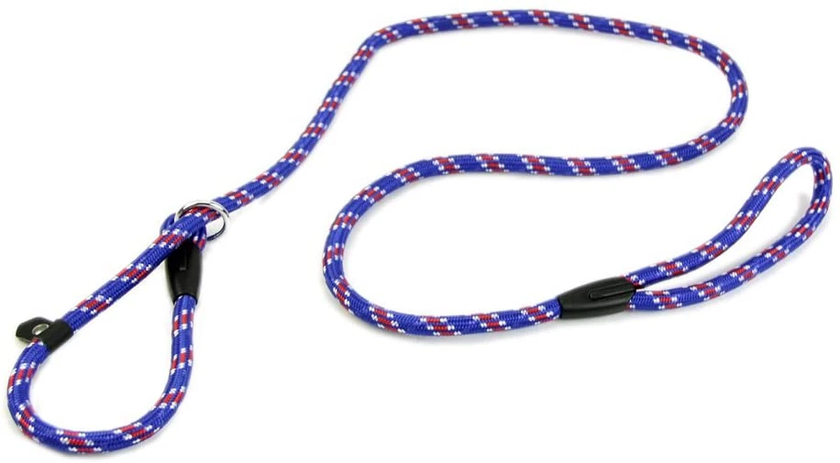 Cesar millan prong collars sales