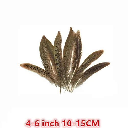 All'ingrosso Piume Fagiane Ad Anello Naturali Per Artigianato 10-70 cm Penna Fai Da Te - Foto 13 di 24