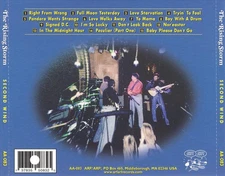 THE RISING STORM (GARAGE ROCK) - SECOND WIND * NEW CD