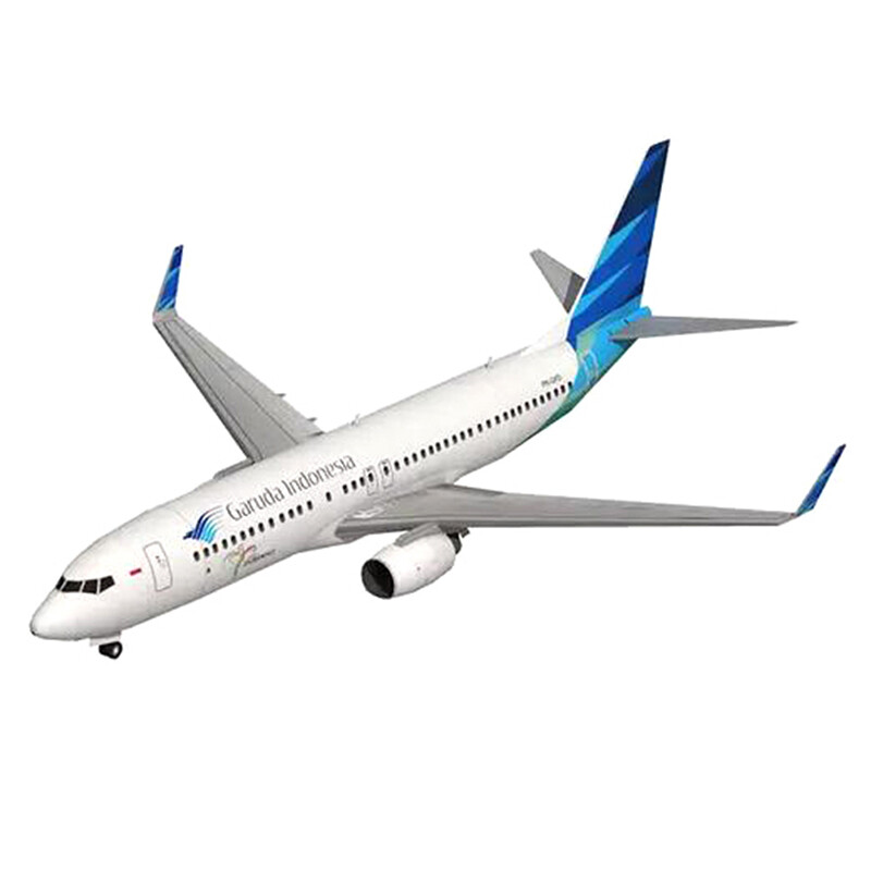 1:100 Boeing 737-800 Aircraft Airlines 3D Paper Model DIY
