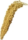 Birds LOVE Economy & Thin Spray Millet Bird Food Non-GMO Treat for Parrots - 9oz