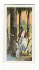 Anonymous Products of the World card. Rubber Plantation