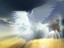 angeleagle08