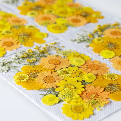 Dried Pressed Flowers Natural Epoxy Resin Candle Nail Art Scrapbooking Craft AU - Picture 34 of 210