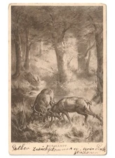 1913 Pausinger bosco lotta tra cervi cartolina augurale Waidmannsheil